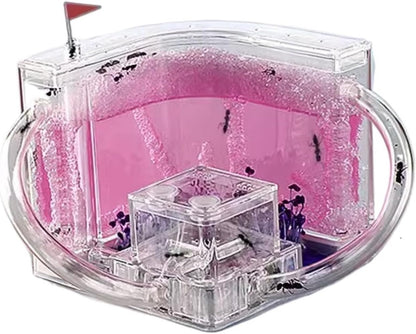 Ant Habitat Ant Farm Ant Castle Ant Castle Ant Studio Habitat Ant Farm Education and Learning Science Kit Ant Nest Farm for Learning Kit Ant Nest Ant House Ant Nest Farm(Pink), 22cm