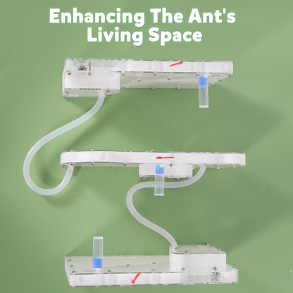 Ant Farms with Connections, Ant Farms, Live Ants for Ant Farm Educational Science DIY Toy Kit - STEM Learning Toy - Great Gifts [Ants not Included] (House)