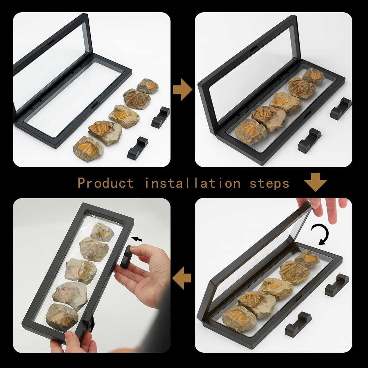 Trilobite Fossil Display Set – 5PCS Authentic Prehistoric Fossils in Rock, Educational Science Specimens for Kids & Adults, Geological Collection, Unique Gift for Collectors and Classroom Use