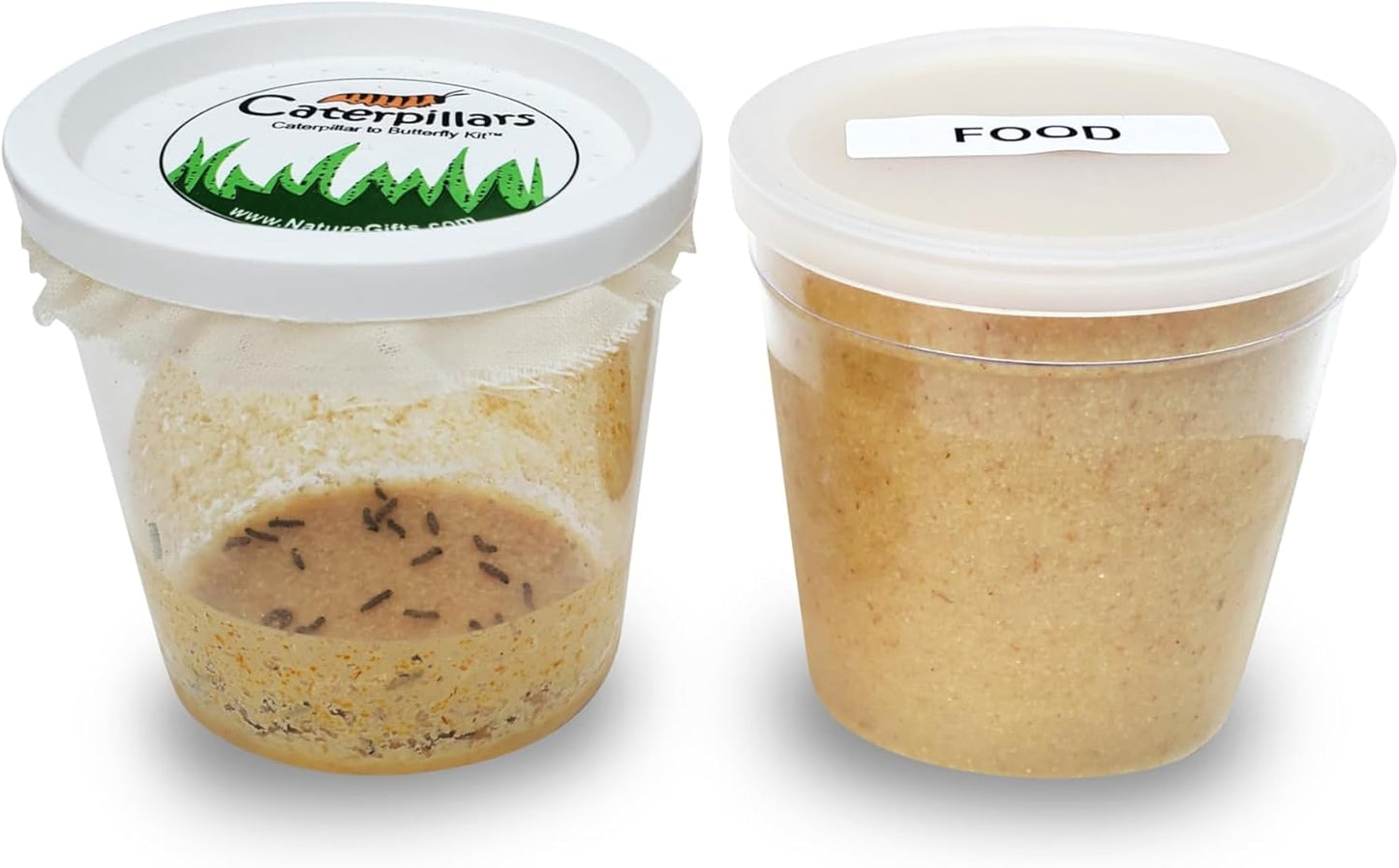 30 Live Caterpillars for Butterfly Habitat Kit - Refill for Painted Lady Butterfly Kit with Caterpillar Food, Instructions - Educational Science Kit, 6 Cups of 5 Caterpillars