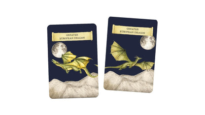Discover the Dragons: A Memory Game (Folklore Field Guides)