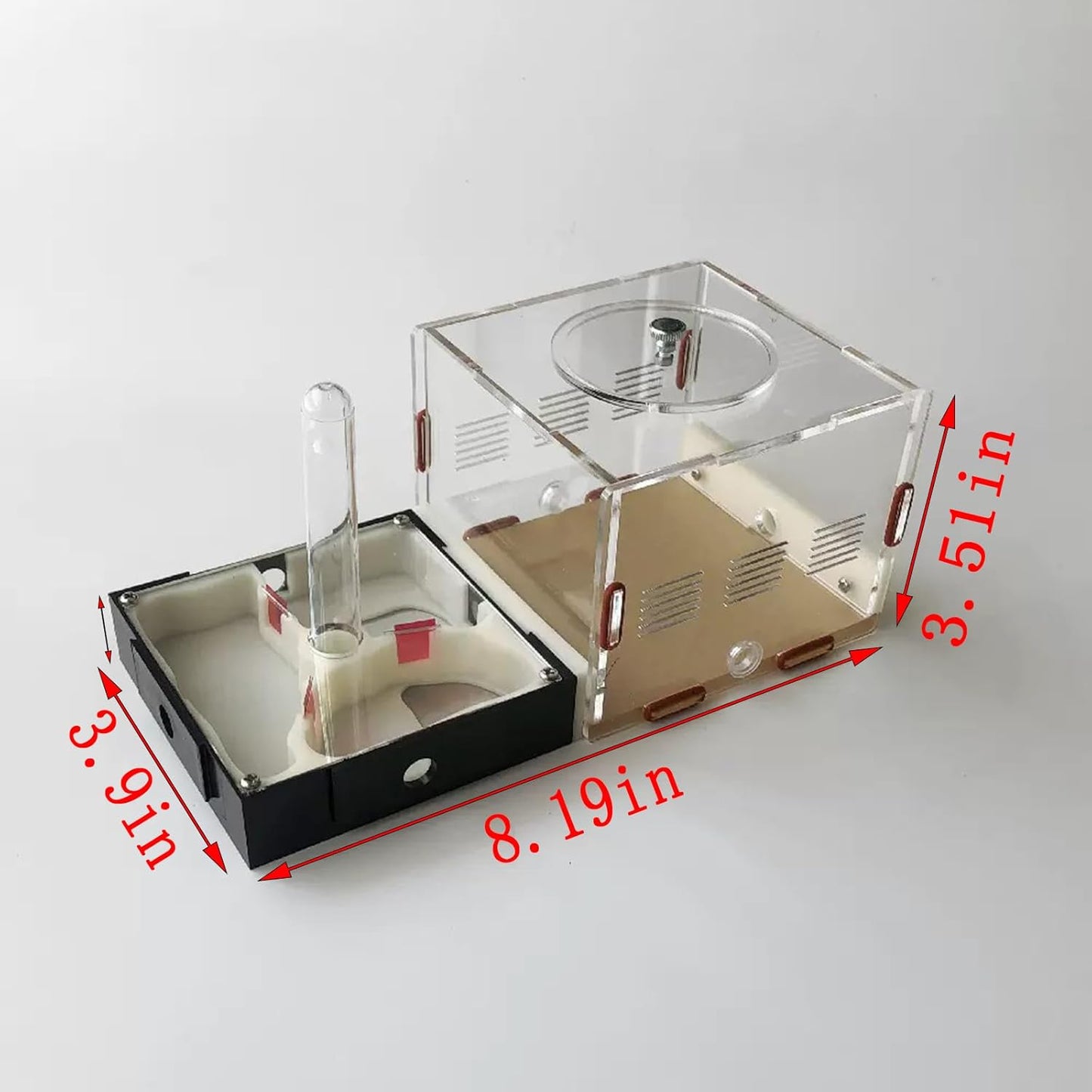 Plaster Test Tube Adult ant Farm Acrylic Transparent ant Observation Behavior Study Live Ants and Queen Education ant nest Small Colony breeding Area Suitable for Children and Enthusiasts Gift