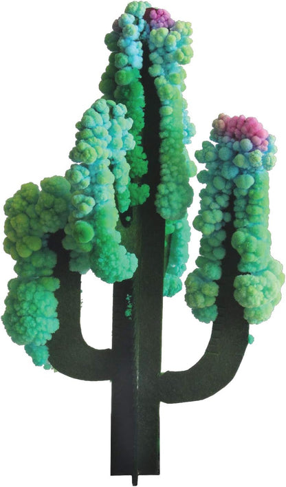 Copernicus Toys Crystal Growing Saguaro Cactus Official Terraformer kit | Grows in Hours | Facts and Instructions Included