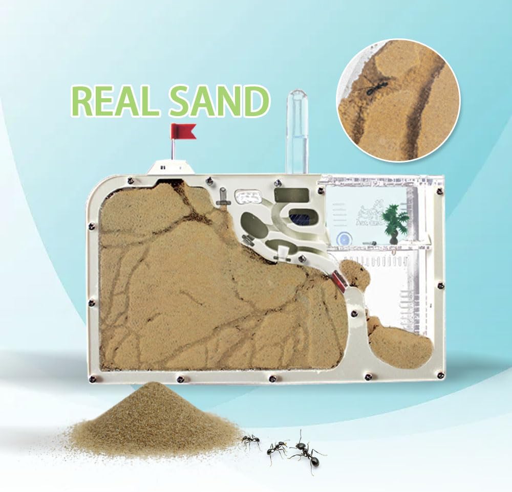 ELNMLHT Ant Farm Castle, Ant Farms with Yellow Sand and Tool Kit, Ant Colony Observation Kit, Ant Viewing Habitat Science Kit, Educational & Learning Science Kit for Kids, Adults, Student (Ant Farm B)