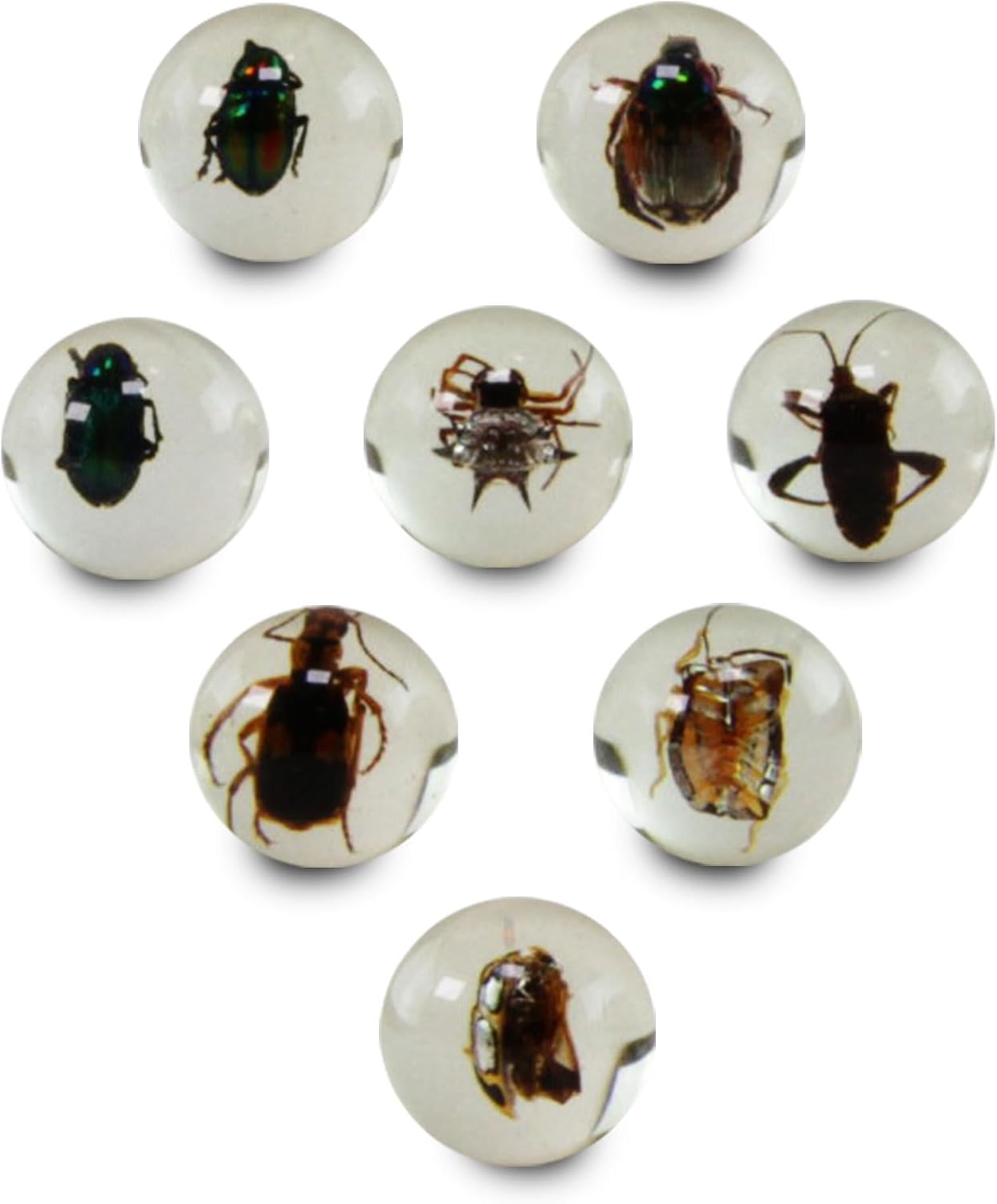 Safari Ltd. Geoworld Bug Marbles - Set of 8 Marbles 1 Inch with Real Insect Specimens