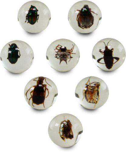 Safari Ltd. Geoworld Bug Marbles - Set of 8 Marbles 1 Inch with Real Insect Specimens