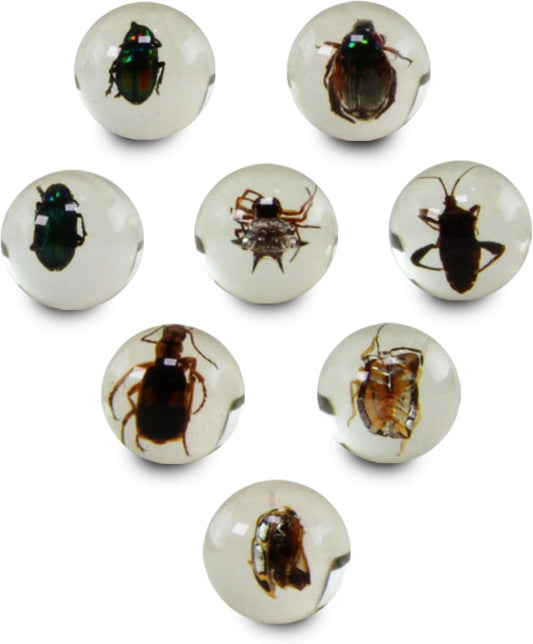 Safari Ltd. Geoworld Bug Marbles - Set of 8 Marbles 1 Inch with Real Insect Specimens