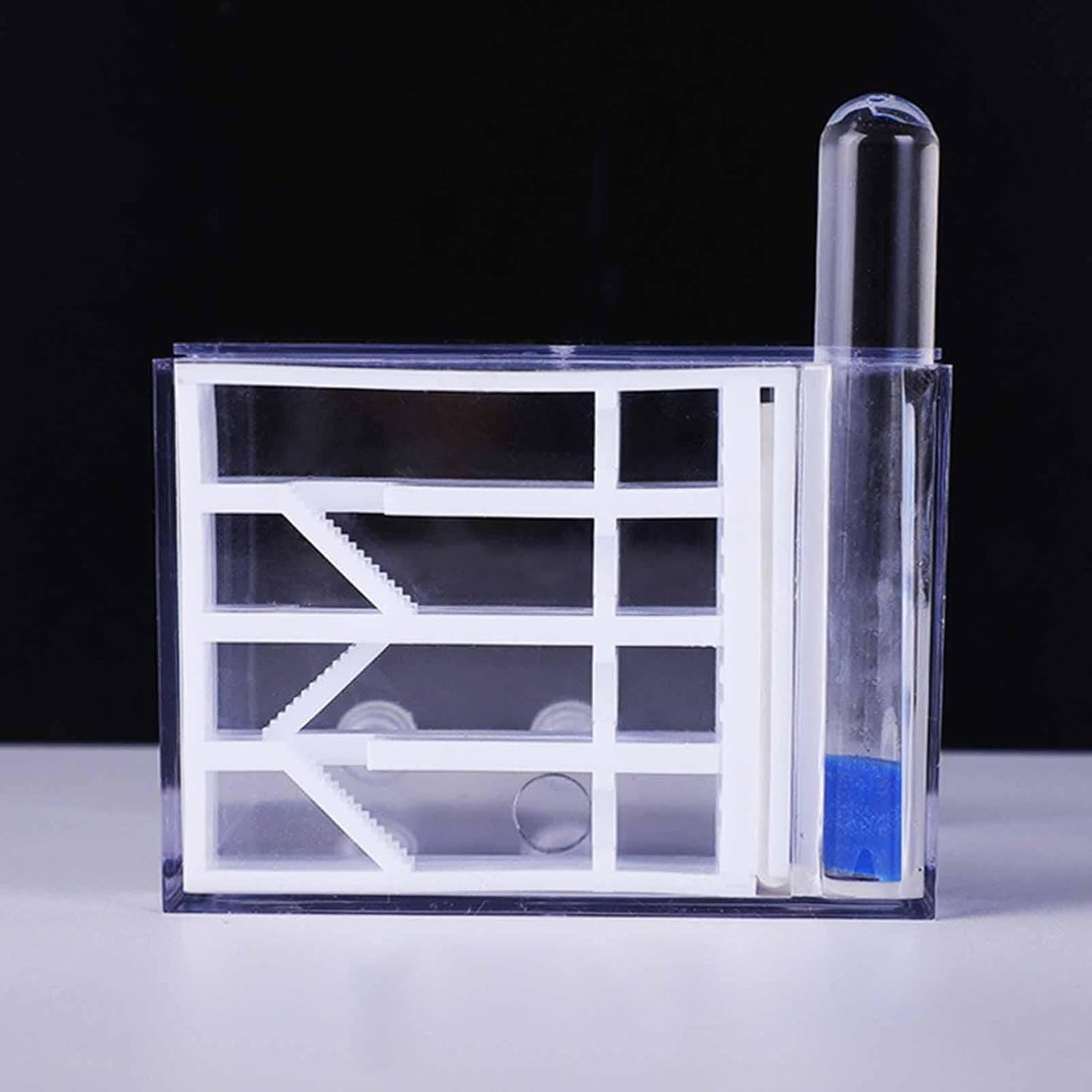 ANT Farm Study DIY Supplies ANT Habitat for Decor Children's Day Birthday
