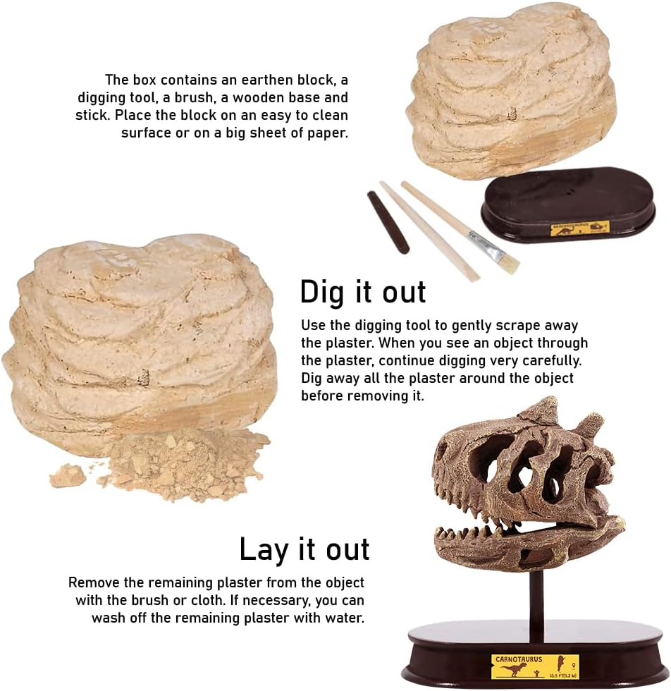 ArtCreativity Dinosaur Excavation Kit for Kids, Brachiosaurus Skull Excavating Set with Fossil Digging Tools and Stand, Fun Science Activity Toy, Educational Dinosaur Gift for Boys and Girls