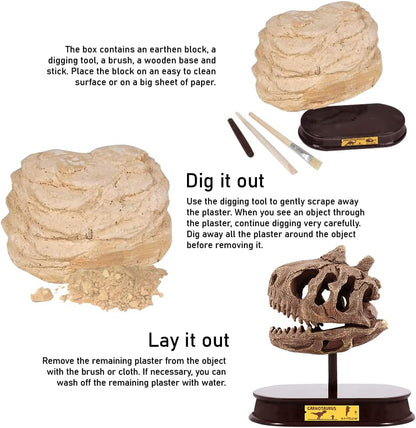 ArtCreativity Dinosaur Excavation Kit for Kids, Brachiosaurus Skull Excavating Set with Fossil Digging Tools and Stand, Fun Science Activity Toy, Educational Dinosaur Gift for Boys and Girls