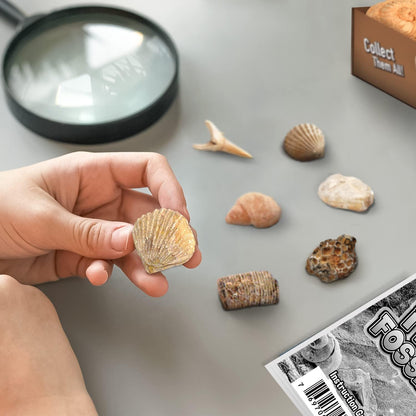 Gamerside Mineral Mining Kit Gem Dig Kit,Rock Dig Kit Dig up 12 Rock & Mineral Collection Gemstones & Crystals Diamond Mining Kit for Kids Gemology Mining Gift Rocks Minerals for Boys Girls