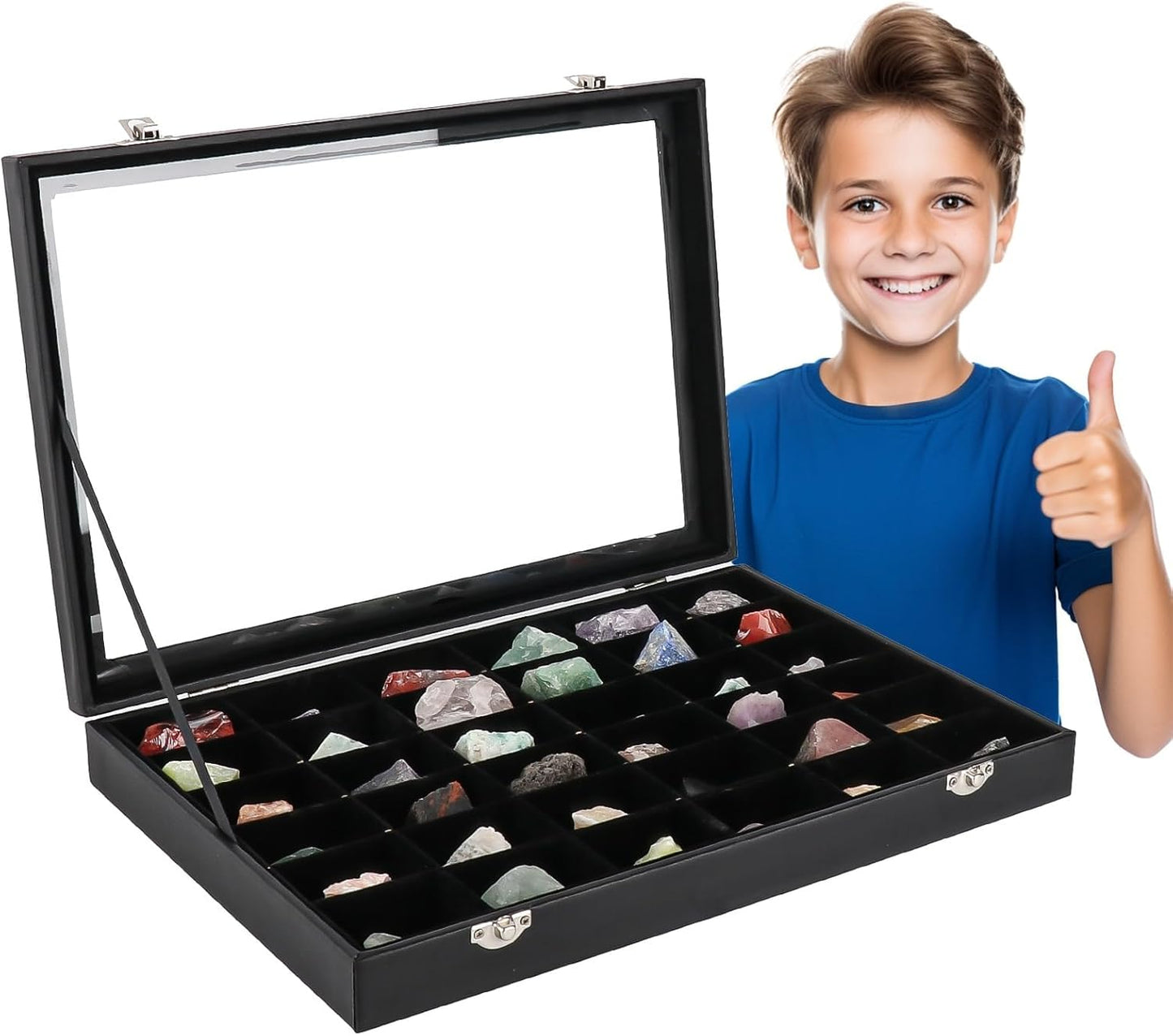 Rock Collection Box for Kids - Display Case for Collectibles - Storage and Display Shelf - Generation 2