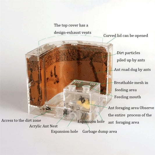 Ant Habitat Ant Farm Ant Castle Ant Castle Filled Clay Sand Ant Farm Ant Nest　Habitat Professional Ant Nest Farm Ant Nest Ant House Ant Nest Farm(1pcs), Clear