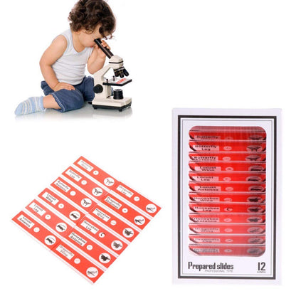 Prepared Microscope Slides for Kids, 48pcs Plastic Animals Insects Plants Flowers Sample Specimens for Students Children Homeschooling Biology Science Programs