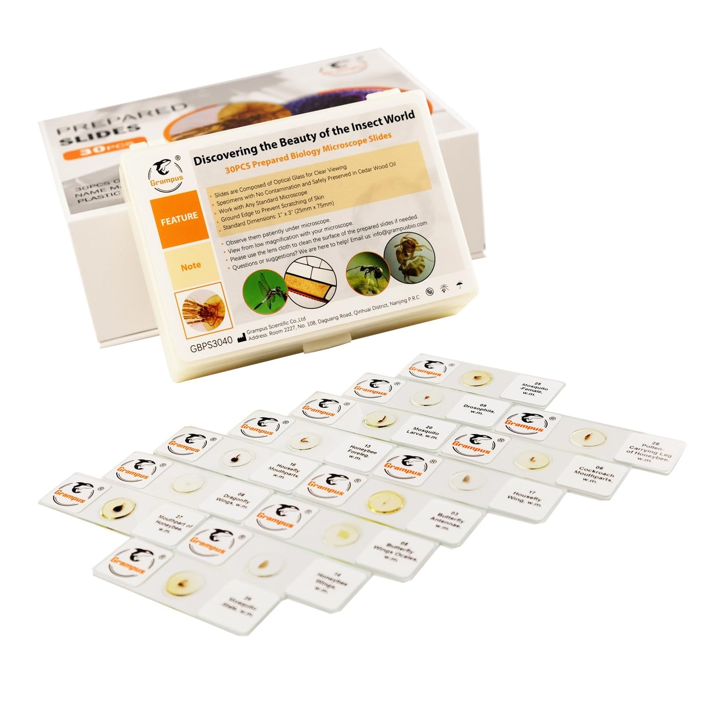 30 Prepared Microscope Slides with Specimens for Kids Students - Plants, for Biological Science Lab, Children's Science Education, Homeschooling Use