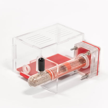 Plaster Test Tube Adult ant Farm Acrylic Transparent ant Observation Behavior Study Live Ants and Queen Education ant nest Small Colony breeding Area Suitable for Children and Enthusiasts Gift