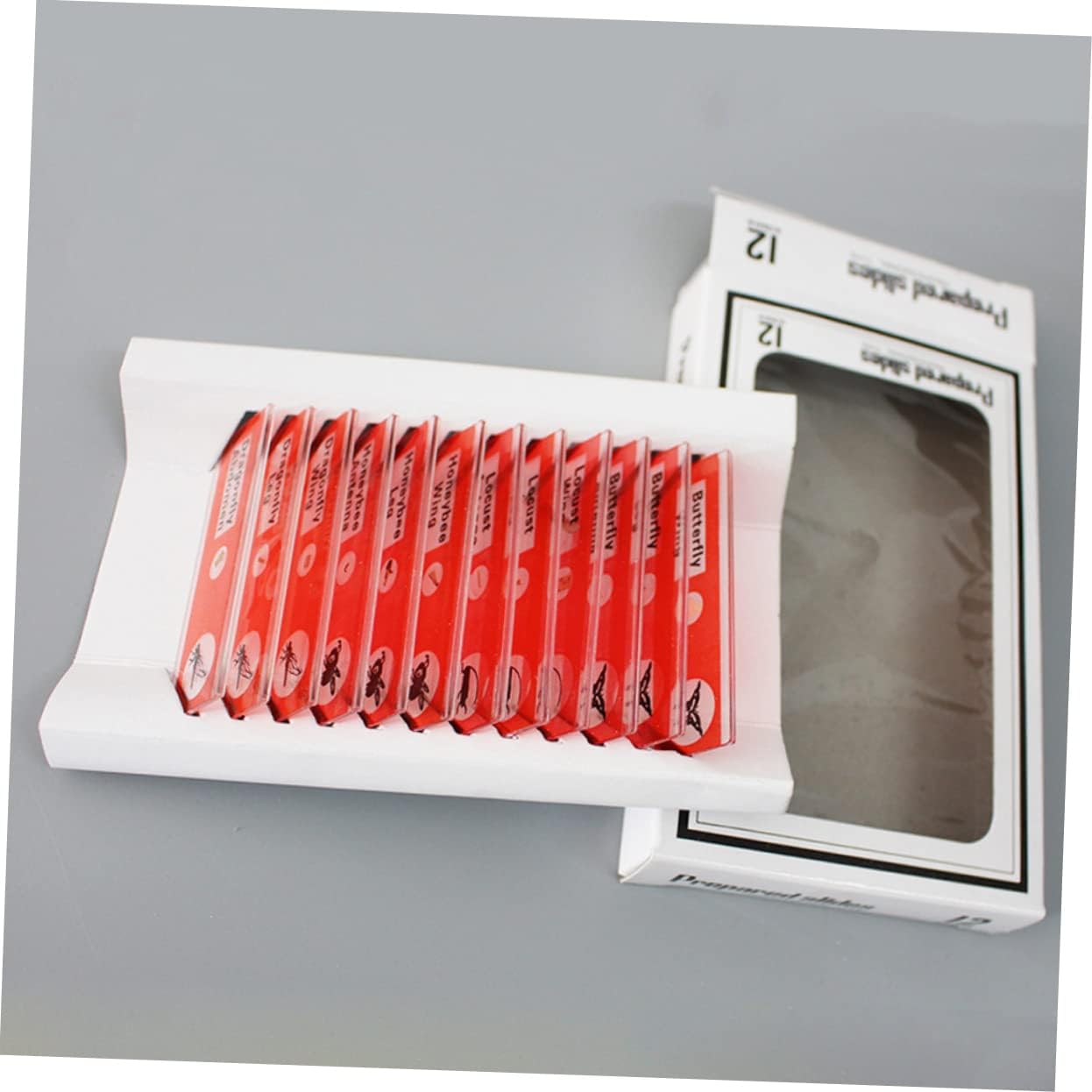 Gatuida Kids Microscope Accessories 12pcs Plastic Slides Prepared Specimens Set