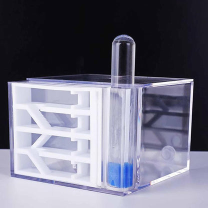 ANT Farm Study DIY Supplies ANT Habitat for Decor Children's Day Birthday