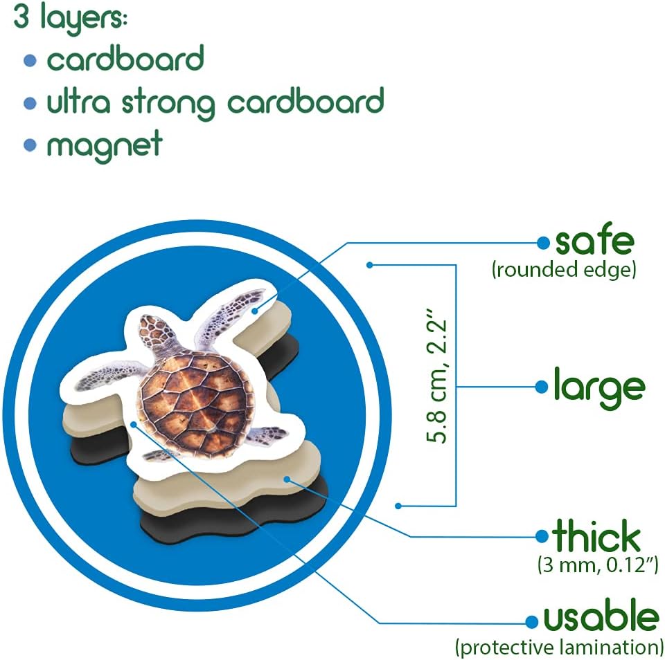 25 Fridge Magnets for Toddlers - Birds Photo Kids Magnets for Refrigerator – Real Magnetic Animals for Children – Big Realistic Magnet for Kids - Learning Toy Set - Baby Educational Gift