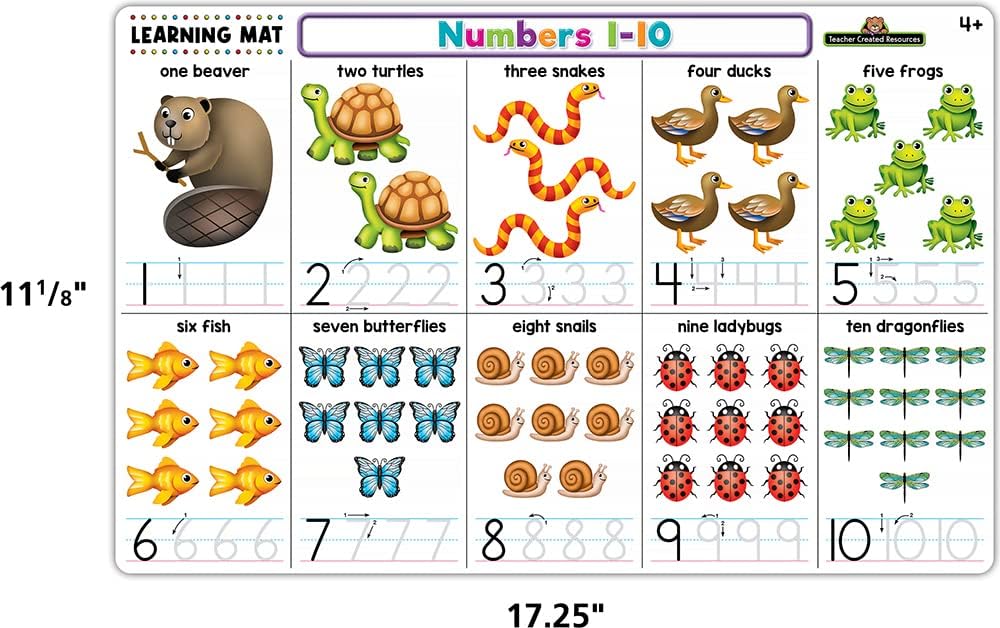 Teacher Created Resources Phonics Learning Mat