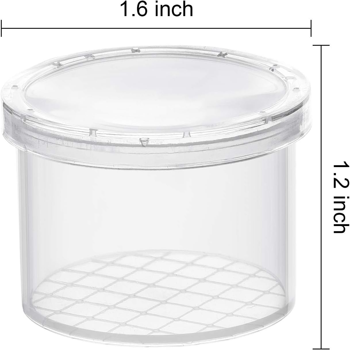 Coopay 20 Pcs Bug Jars Critter Insect Cage Magnifying Insect Box Bug Magnifier Container Catcher Cage, Science Nature Exploration Tools