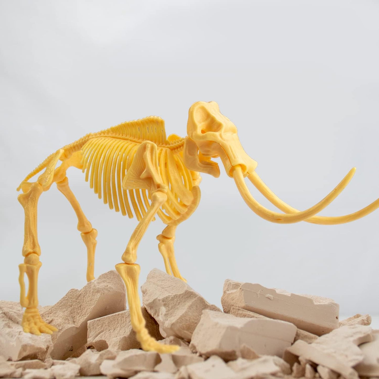 Science4you Triceratops Dinosaur Fossil Digging Kit - Excavate and Assemble 10 Dino Bones, Dinosaur Archeology and Paleontologist Toys, Games, Gifts for Boys and Girls Age 6 7 8 9 10+