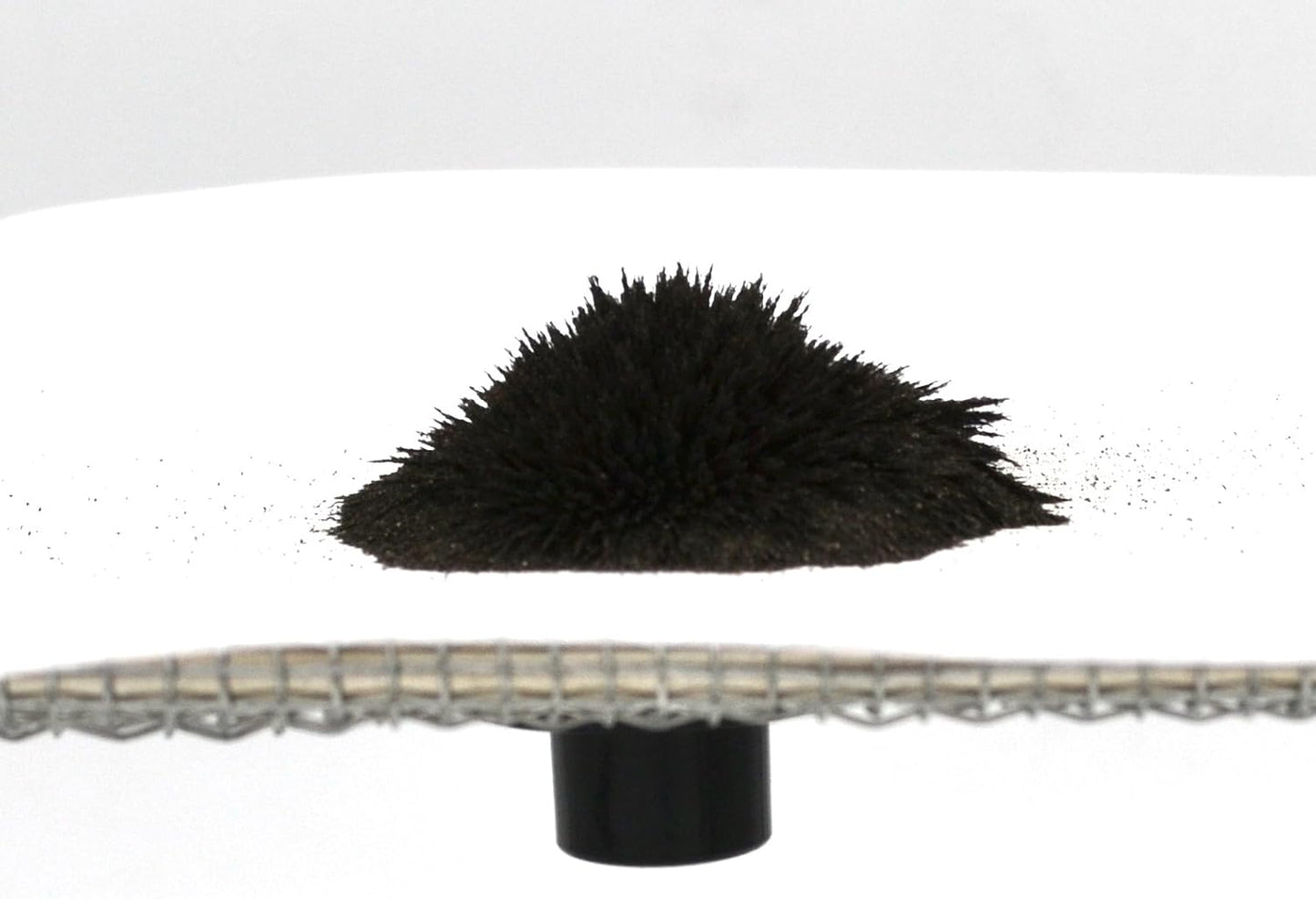 EISCO Coarse Iron Filings, 250g - 20 Mesh Iron Shavings for Magnets