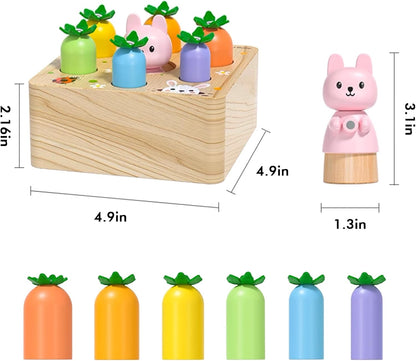 Ancaixin Montessori Toys for Babies 6-12 Months, Wooden Toys for 1 Year Old Boys and Girls, Educational Carrot Harvest Toy for Toddlers, Shape Sorting Matching Puzzle, Developmental Birthday Gifts