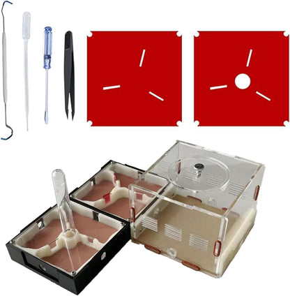 Plaster Test Tube Adult ant Farm Acrylic Transparent ant Observation Behavior Study Live Ants and Queen Education ant nest Small Colony breeding Area Suitable for Children and Enthusiasts Gift