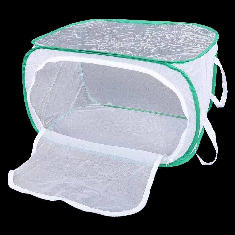 Foldable Butterfly Habitat, Butterfly Cage for Caterpillars, Create Farm, Enclosure for Breeding Soldier Fly, Dragonfly, or Housefly for Chicken and Reptile Feed (30 * 30 * 30cm)