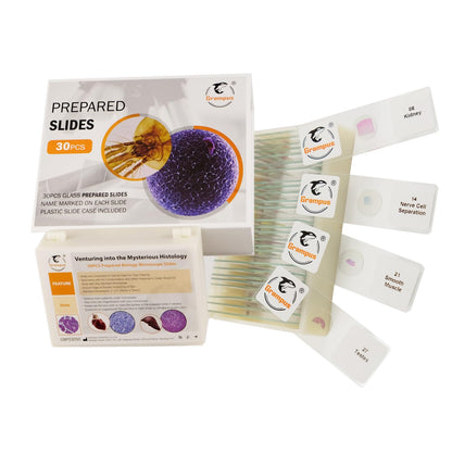 30 Prepared Microscope Slides with Specimens for Kids Students - Plants, for Biological Science Lab, Children's Science Education, Homeschooling Use