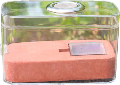 Gypsum Ant Farm New ant Queen Nest Acrylic Transparent ant Observation Behavior Study Live Ants and Queen Ants Education Ant nest Small Community Feeding Area Suitable for Children and Lovers Gifts