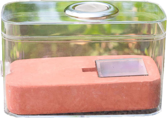 Gypsum Ant Farm New ant Queen Nest Acrylic Transparent ant Observation Behavior Study Live Ants and Queen Ants Education Ant nest Small Community Feeding Area Suitable for Children and Lovers Gifts