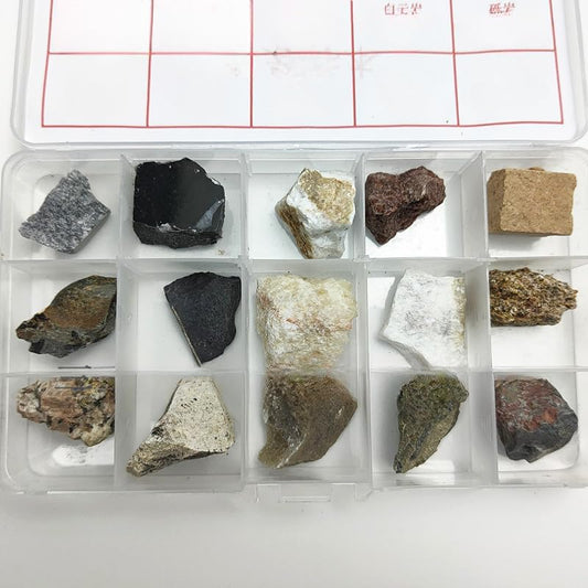 misppro Sedimentary Rock Specimen Rock Collection Real Stone Teaching Aid Ages 8 Up