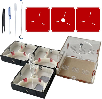 Ant Farm Nest Science DIY Terrarium Kit Care for Live Ants Ant Habitat with Water Tower Nurturing Room and Comprehensive Observation