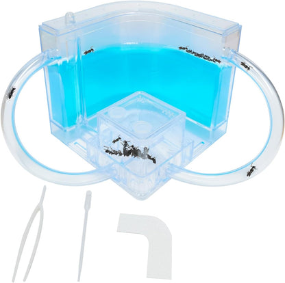 EXBEPE Ant Farm for Kids - Gel Castle Colony Ecosystem Terrarium Kit, Habitat Science Learning Kit