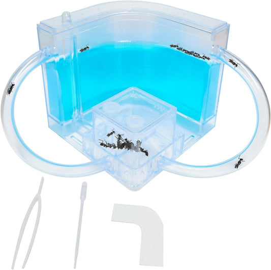 EXBEPE Ant Farm for Kids - Gel Castle Colony Ecosystem Terrarium Kit, Habitat Science Learning Kit