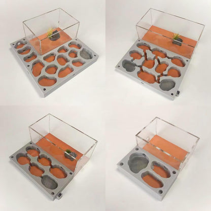 Gypsum Ant Farm New Queen's Nest Acrylic Transparent Ant Observation Behavior Research Live Ants and Queen's Education Ant Nest Suitable for Children and Enthusiasts Gift Giving