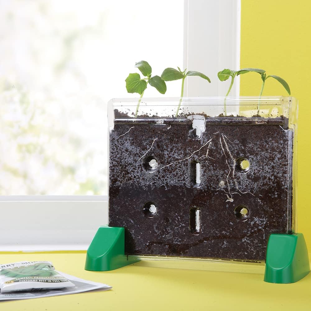 Educational Insights Sprout & Grow Window - See-Through Sprouts Growing Kit, Kids Gardening Set, Kid-Friendly Science Kits, Root Viewer, Gardening Kit for Kids, Indoor Classroom Planter, Ages 5+