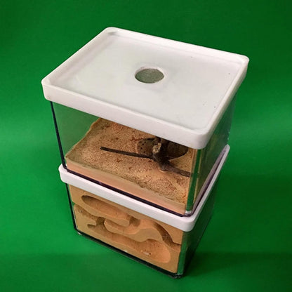 Acrylic Transparent Ant Farm Nest - Ant Observation & Education - Suitable for Children & Enthusiasts - Gift Giving