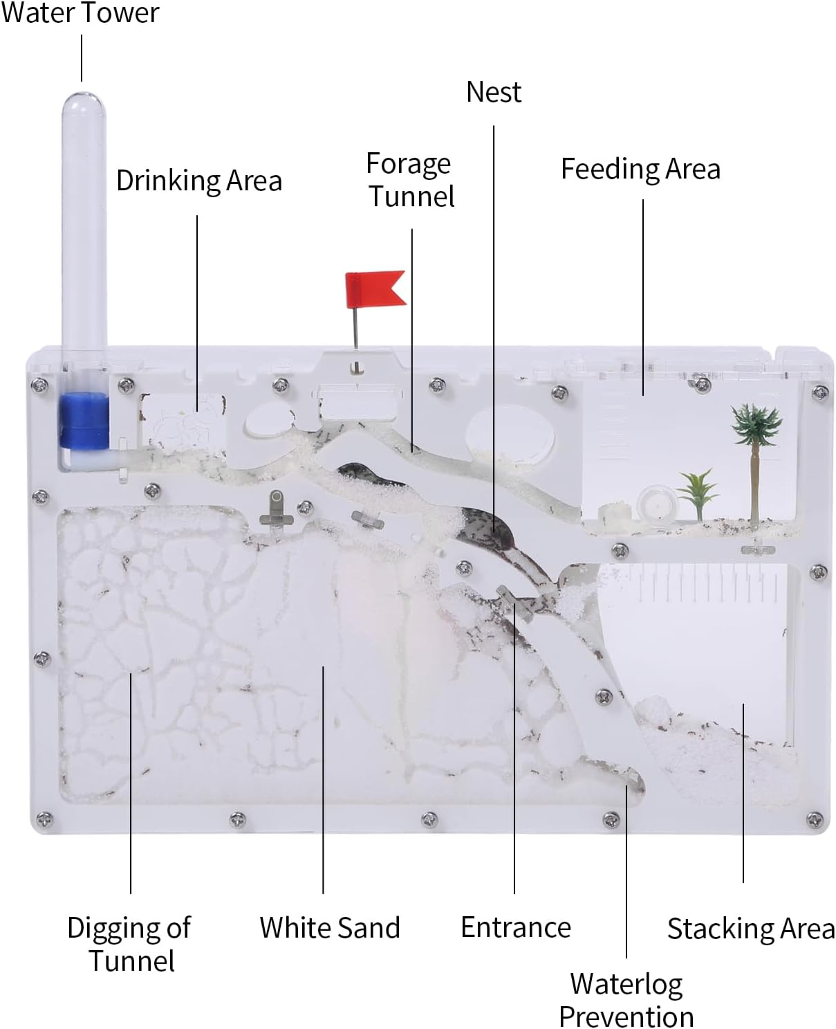 NAVAdeal Sand Ant Farm Castle 2023 Habitat Educational & Learning Science Kit Toy for Kid & Adult, Study of Ecosystem, Behavior of Ant Colony, Explore The World at Home School (Live Ant NOT Included)