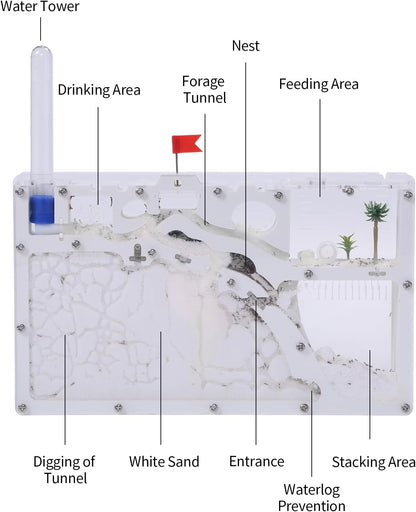NAVAdeal Sand Ant Farm Castle 2023 Habitat Educational & Learning Science Kit Toy for Kid & Adult, Study of Ecosystem, Behavior of Ant Colony, Explore The World at Home School (Live Ant NOT Included)