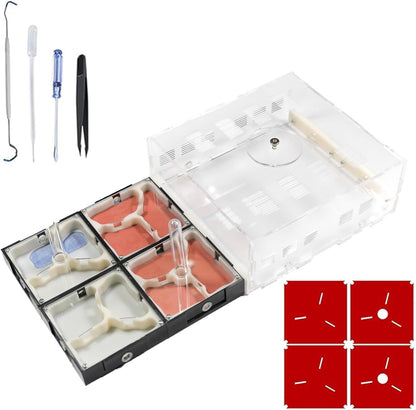 Plaster Test Tube Adult ant Farm Acrylic Transparent ant Observation Behavior Study Live Ants and Queen Education ant nest Small Colony breeding Area Suitable for Children and Enthusiasts Gift