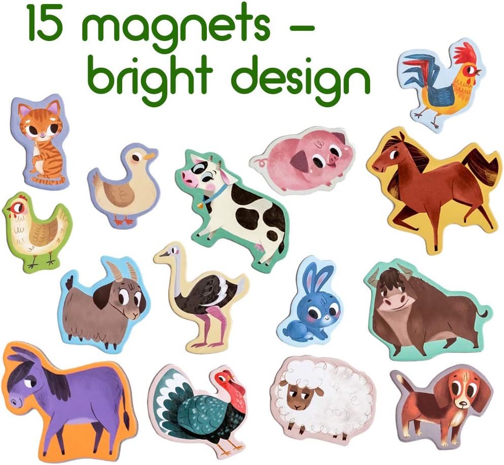25 Fridge Magnets for Toddlers - Birds Photo Kids Magnets for Refrigerator – Real Magnetic Animals for Children – Big Realistic Magnet for Kids - Learning Toy Set - Baby Educational Gift