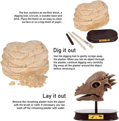 ArtCreativity Dinosaur Excavation Kit for Kids, Brachiosaurus Skull Excavating Set with Fossil Digging Tools and Stand, Fun Science Activity Toy, Educational Dinosaur Gift for Boys and Girls