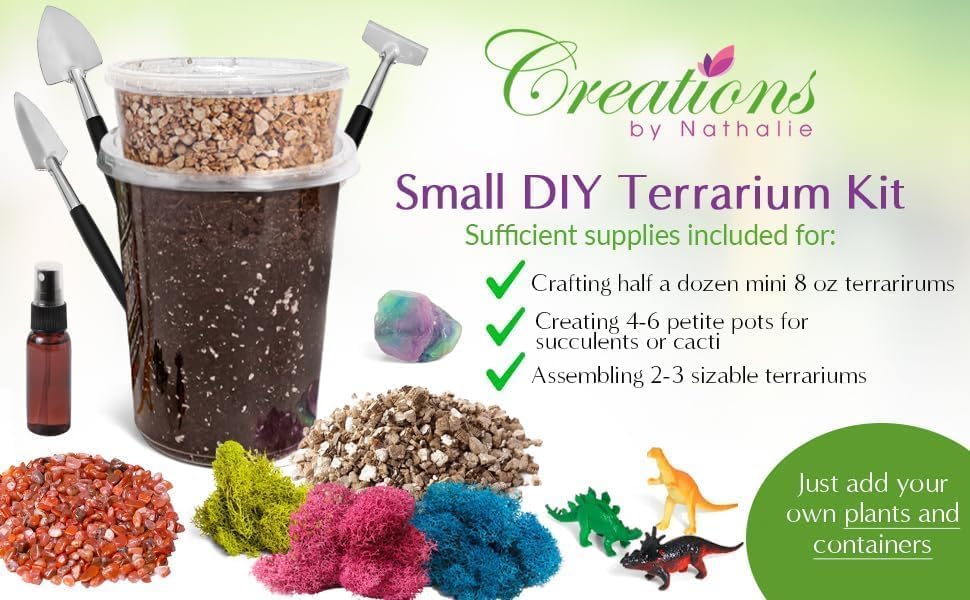 Creations by Nathalie – DIY Large Terrarium Starter Kit with Soil, Moss, Pebbles, Healing Crystal, Tools & Supplies – Terrarium Kit for Adults & Teens, Handcrafted in USA