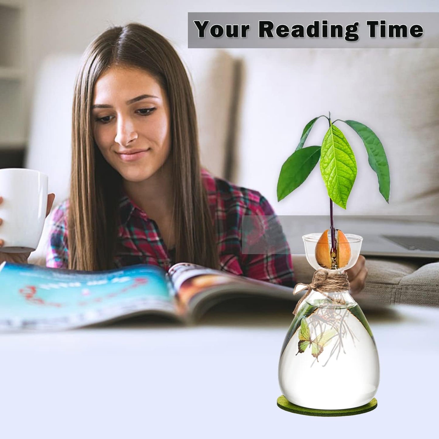 Avocado Seed Vase,DIY Avocado Seed Starter Glass Vase with Absorbable Mat and Butterfly Stickers,Avocado Tree Growingredients Vase for Seed Gardening Gifts Sirensky Brand