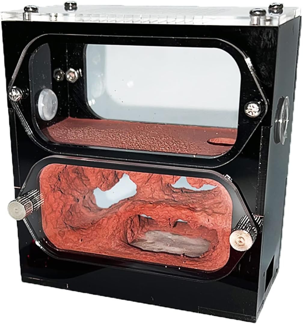 KXCR Ant Farm Ecological Ant Nest Farm Concrete Ant Castle Ant Formicarium Acrylic Habitat Ant House Box Ant Workshop Kit Ant Feeding Villa for Kids & Adults Science Experiment