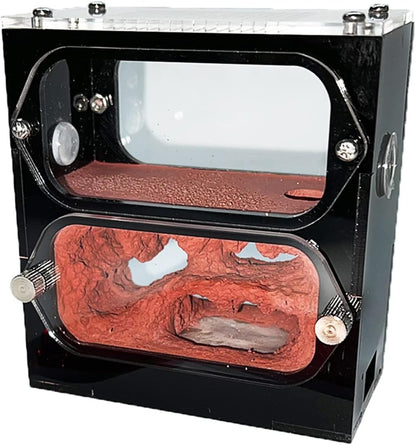 KXCR Ant Farm Ecological Ant Nest Farm Concrete Ant Castle Ant Formicarium Acrylic Habitat Ant House Box Ant Workshop Kit Ant Feeding Villa for Kids & Adults Science Experiment
