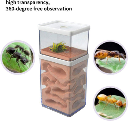 Ecological Ant Nest Farm, Ant Castle Ant Formicarium, Transparent Ant House Plaster Ant Nest, Ant Workshop Insect Villa Ant Feeding Box for Ants Study Science Experiment Gift